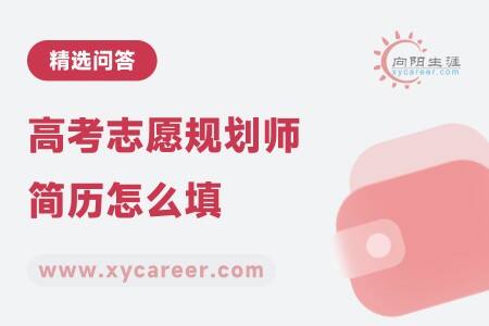 高考志愿规划师简历怎么填