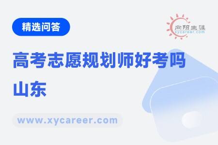 高考志愿规划师好考吗山东