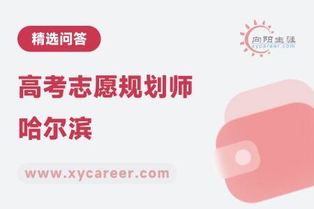 高考志愿规划师哈尔滨
