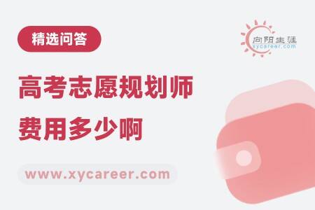 高考志愿规划师费用多少啊