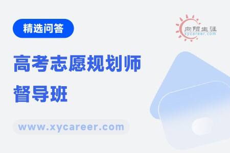 高考志愿规划师督导班