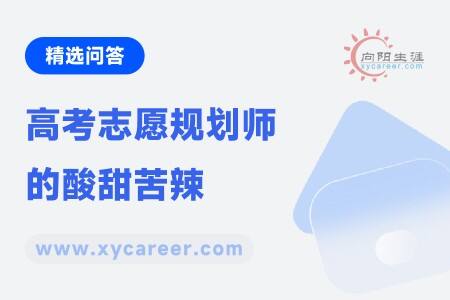 高考志愿规划师的酸甜苦辣