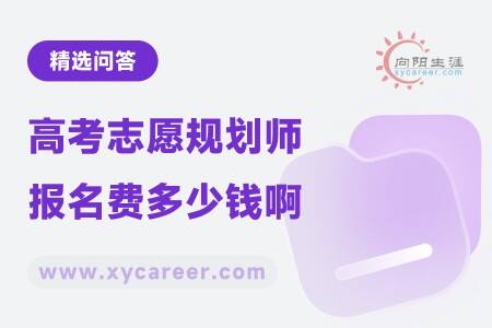 高考志愿规划师报名费多少钱啊