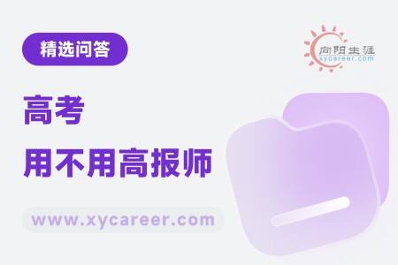 高考用不用高报师