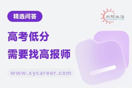 高考低分需要找高报师