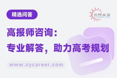 高报师咨询