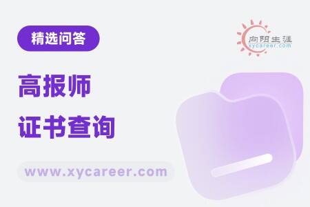 高报师证书查询