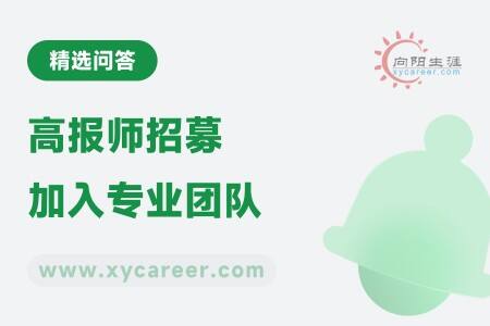 高报师招募