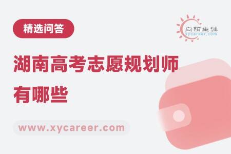 湖南高考志愿規(guī)劃師有哪些