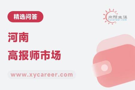 河南高报师市场