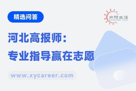 河北高报师