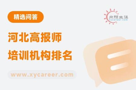河北高报师培训机构排名