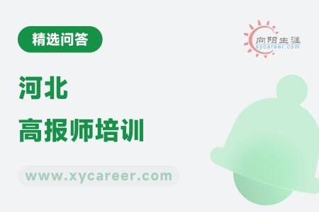 河北高报师培训