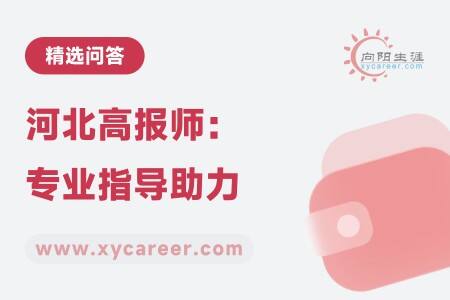 河北高报师