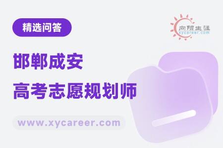 邯郸成安高考志愿规划师