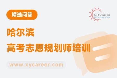 哈尔滨高考志愿规划师培训