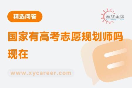 国家有高考志愿规划师吗现在