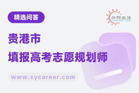 贵港市填报高考志愿规划师