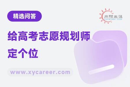 给高考志愿规划师定个位