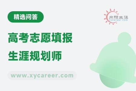 高考志愿填报生涯规划师