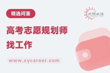 高考志愿规划师找工作
