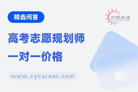 高考志愿规划师一对一价格