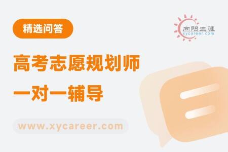 高考志愿规划师一对一辅导