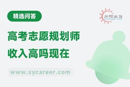 高考志愿规划师收入高吗现在