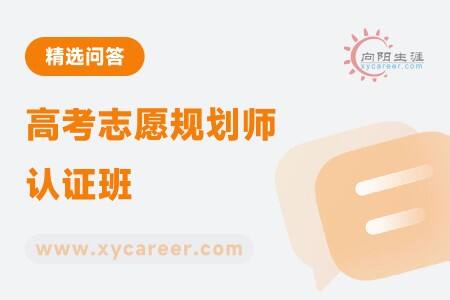 高考志愿规划师认证班