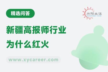 新疆高报师行业为什么红火