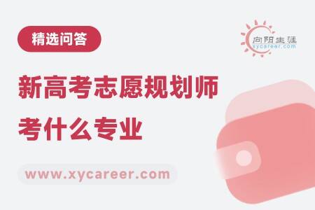 新高考志愿规划师考什么专业