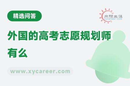 外国的高考志愿规划师有么