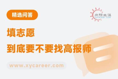 填志愿到底要不要找高报师