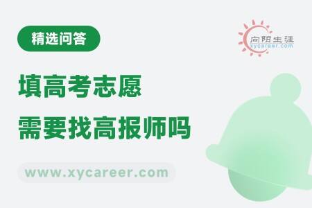 填高考志愿需要找高报师吗