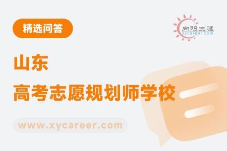 山东高考志愿规划师学校