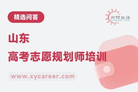 山东高考志愿规划师培训