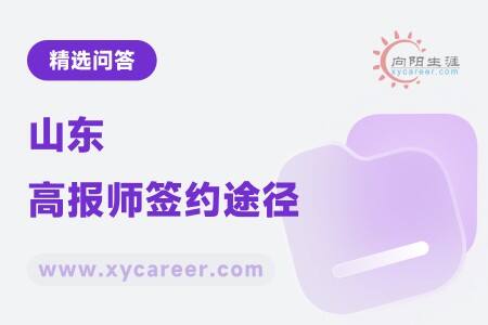 山东高报师签约途径