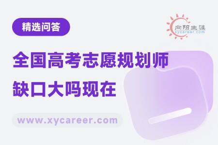 全国高考志愿规划师缺口大吗现在