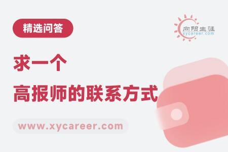 求一个高报师的联系方式