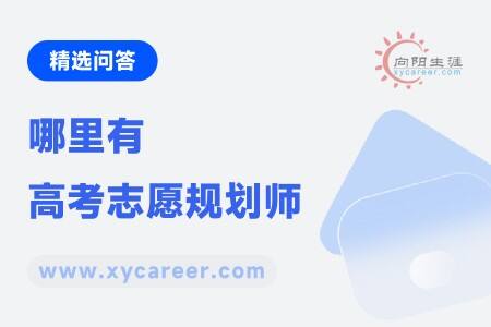哪里有高考志愿规划师